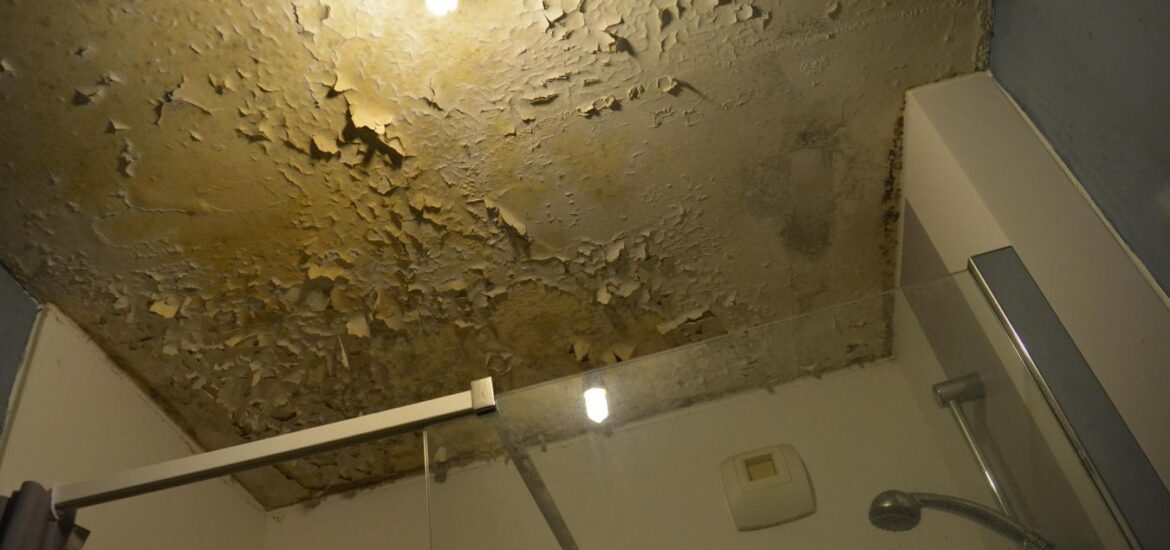 taches d'eau et de moisissures des plafonds et des murs de la salle de bains
